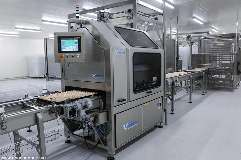 (Hệ thống tự động hóa quy trình ấp nở khép kín Hatchery Automation. Nguồn: Viscon Group)